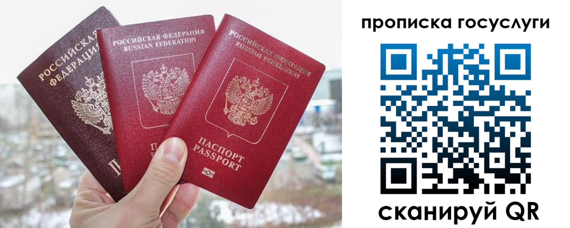 прописка законно в Коряжме